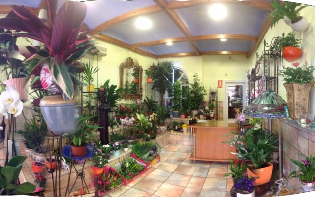 Floristeria Rioja Jardin